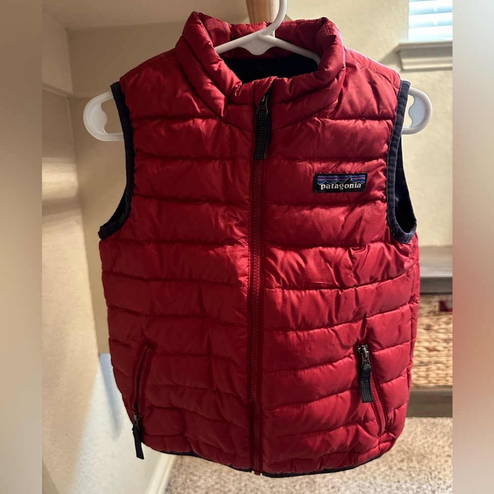 Patagonia down sweater vest